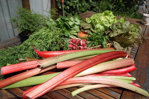 Légumes du jardin